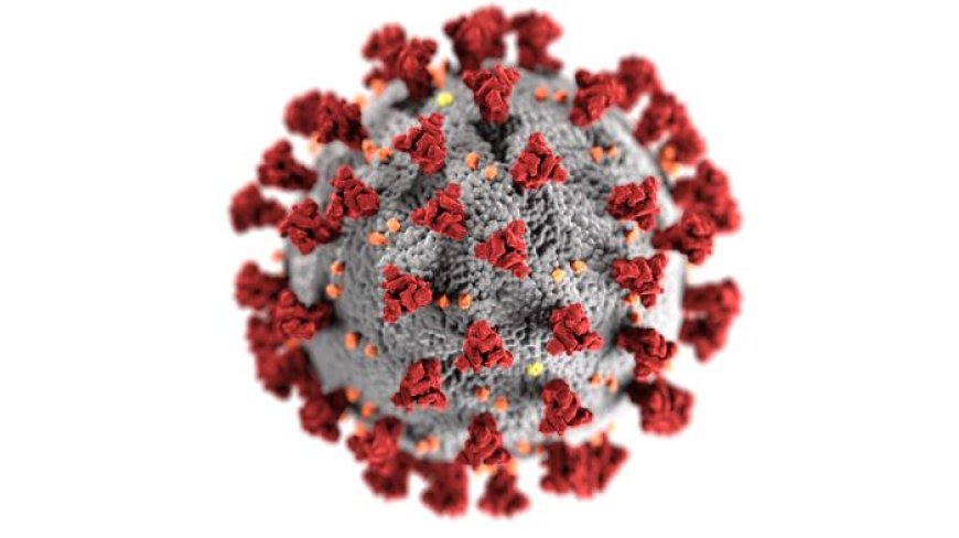 Human Metapneumovirus (HMPV) Outbreak in China