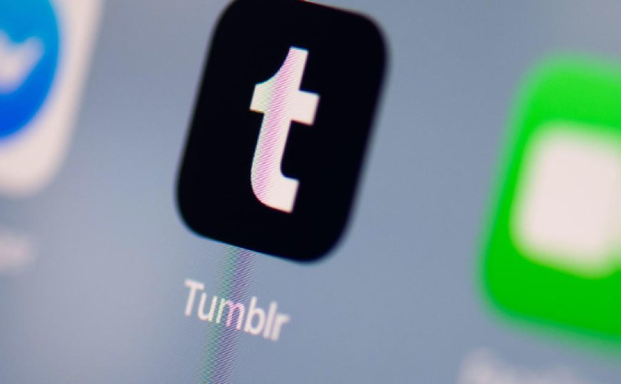 After 10 Years, Tumblr TV Launches as a Hub for GIFs and Videos