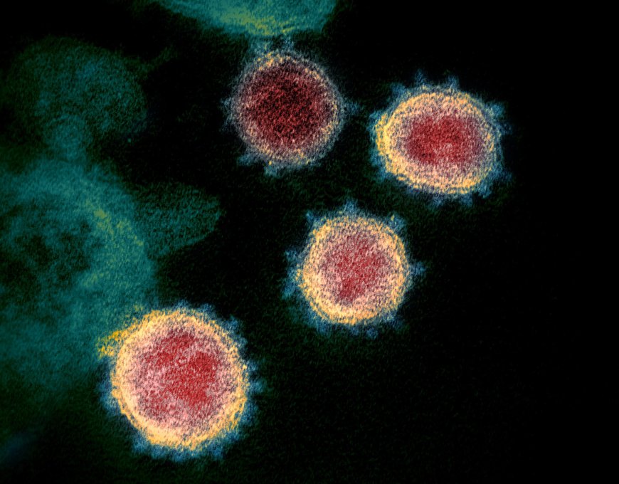 750 new COVID Cases in India : New Omicron Variant is spreading