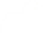 Best Website Development Company in Hyderabad